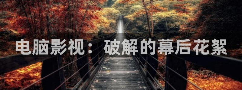 人人高清视频