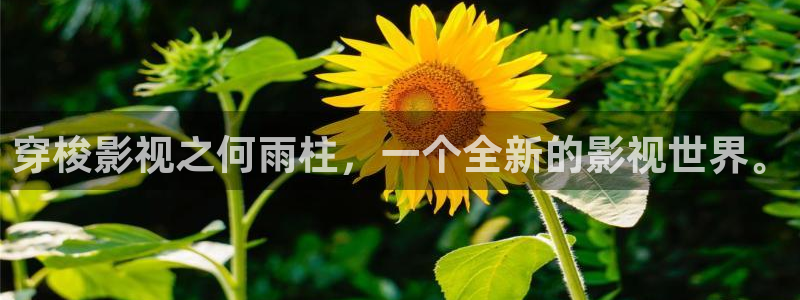 在线视频免费人人